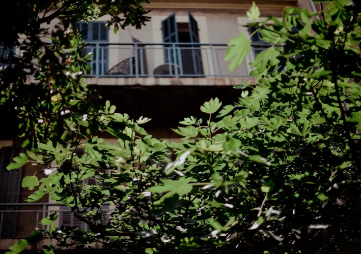 UP Projets Coda 1 1600px